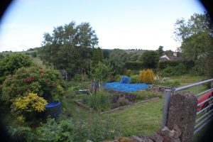 Chelmorton Allotments